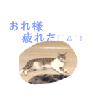☆おもしろ＆可愛いスタンプ♡（個別スタンプ：7）