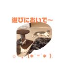 ☆おもしろ＆可愛いスタンプ♡（個別スタンプ：8）