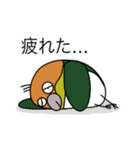 ゆけ！シロハラインコ！（個別スタンプ：4）