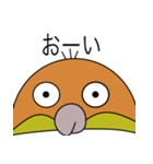ゆけ！シロハラインコ！（個別スタンプ：5）