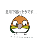 ゆけ！シロハラインコ！（個別スタンプ：12）