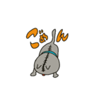 ぐれいねこねこ（個別スタンプ：5）