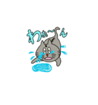 ぐれいねこねこ（個別スタンプ：24）
