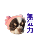 パート2！ウーパーてんちゃんスタンプ（個別スタンプ：7）