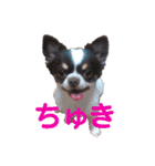 パート2！ウーパーてんちゃんスタンプ（個別スタンプ：19）