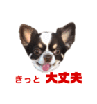 パート2！ウーパーてんちゃんスタンプ（個別スタンプ：21）
