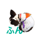 パート2！ウーパーてんちゃんスタンプ（個別スタンプ：22）