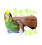 可愛いシーリンスタンプ（個別スタンプ：8）