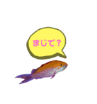 うみのいきものたちの会話（個別スタンプ：5）