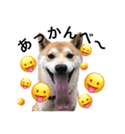 宇佐美家の愛犬♡2（個別スタンプ：7）