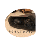 むーらいだー 2（個別スタンプ：10）
