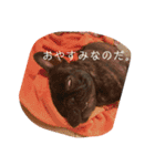 むーらいだー 2（個別スタンプ：15）