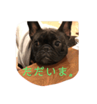 むーらいだー 2（個別スタンプ：17）