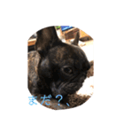 むーらいだー 2（個別スタンプ：18）