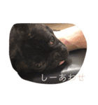 むーらいだー 2（個別スタンプ：19）