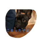 むーらいだー 2（個別スタンプ：23）