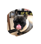 むーらいだー 2（個別スタンプ：25）