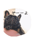 むーらいだー 2（個別スタンプ：26）