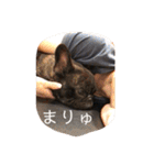 むーらいだー 2（個別スタンプ：32）