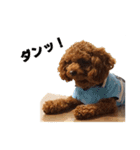 えだまめとうふ②（個別スタンプ：1）