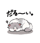 SHAKAKINTV（個別スタンプ：1）