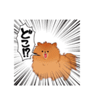 SHAKAKINTV（個別スタンプ：4）