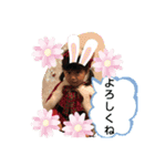 kawafamilyいっちゃん、まるちゃん（個別スタンプ：13）