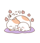 にこにこアザラシ仲良しスタンプ（個別スタンプ：25）
