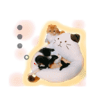 我が家のにゃんこ2（個別スタンプ：11）