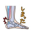 トラの整形外科医（個別スタンプ：37）