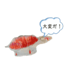 5歳児のいろいろスタンプ（個別スタンプ：31）