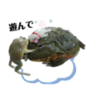 アフウシ3（個別スタンプ：14）