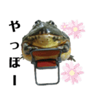 アフウシ3（個別スタンプ：19）
