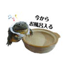 アフウシ3（個別スタンプ：24）