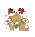 日本大好き！柴犬の茶太之助君！（個別スタンプ：1）