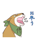 日本大好き！柴犬の茶太之助君！（個別スタンプ：2）