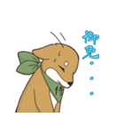 日本大好き！柴犬の茶太之助君！（個別スタンプ：4）