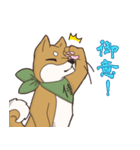 日本大好き！柴犬の茶太之助君！（個別スタンプ：5）