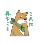 日本大好き！柴犬の茶太之助君！（個別スタンプ：9）