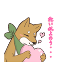 日本大好き！柴犬の茶太之助君！（個別スタンプ：10）