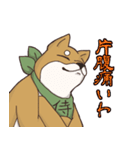 日本大好き！柴犬の茶太之助君！（個別スタンプ：12）