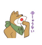 日本大好き！柴犬の茶太之助君！（個別スタンプ：13）