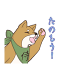 日本大好き！柴犬の茶太之助君！（個別スタンプ：14）