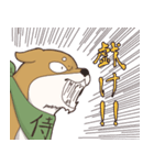 日本大好き！柴犬の茶太之助君！（個別スタンプ：15）