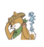 日本大好き！柴犬の茶太之助君！（個別スタンプ：16）