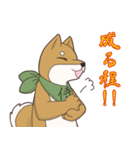 日本大好き！柴犬の茶太之助君！（個別スタンプ：18）
