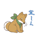 日本大好き！柴犬の茶太之助君！（個別スタンプ：20）