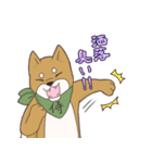 日本大好き！柴犬の茶太之助君！（個別スタンプ：23）