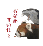 ほほえみフレンズ！ほのぼの仲良しな動物達（個別スタンプ：12）