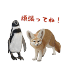 ほほえみフレンズ！ほのぼの仲良しな動物達（個別スタンプ：17）